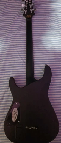 Schecter Damien Platinum 6 SBK