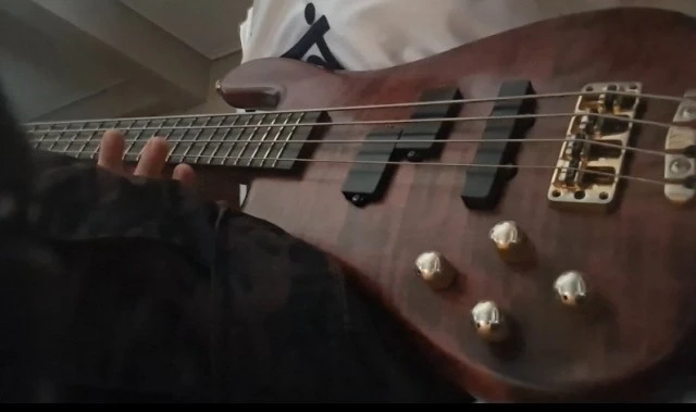 Warwick streamer stage 1 LX