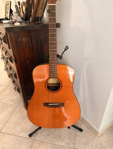 Alfonso Acoustic Guitar 