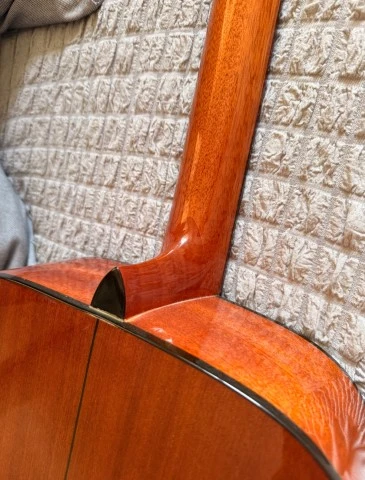 Alfonso Acoustic Guitar 
