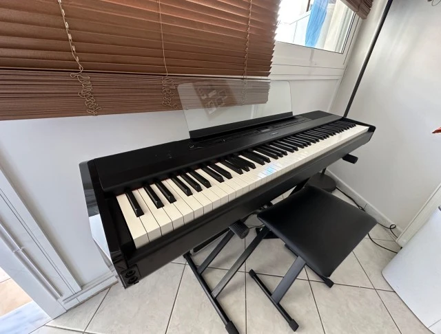 Yamaha P-515