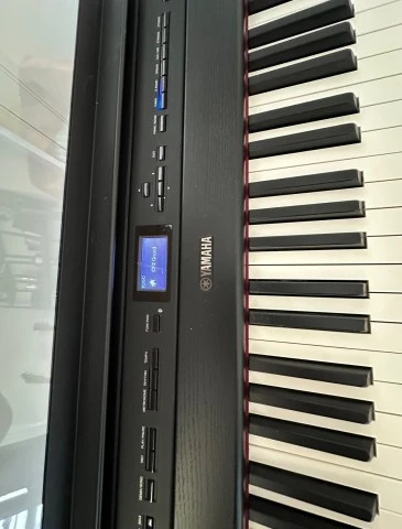 Yamaha P-515