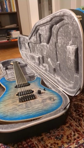 Mayones Regius 7