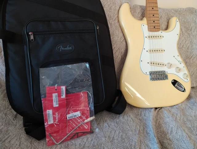 70's Stratocaster 70th anniversary VINT II 