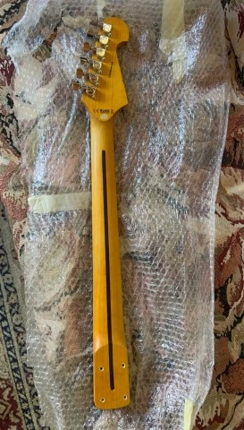 Washburn Sonamaster Neck