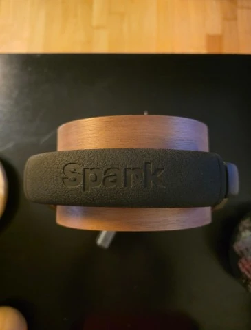 Positive Grid Spark NEO