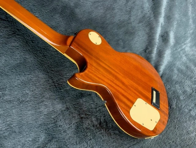 Burny RLG65S  Sustainer  Dyna