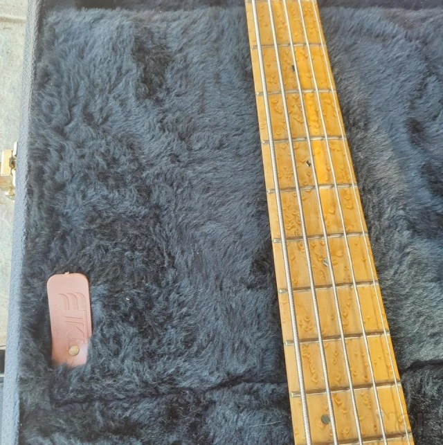 Pedulla Rapture J2000 (5 string)