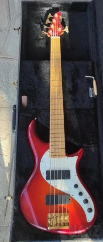 Pedulla Rapture J2000 (5 string)