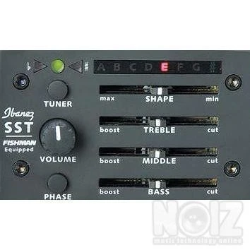 Ibanez Artwood AW250ECE-RTB Ηλεκτροακουσ