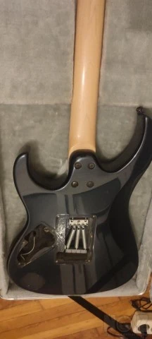 Washburn WG 580