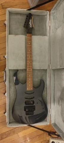 Washburn WG 580