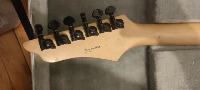 Washburn WG 580