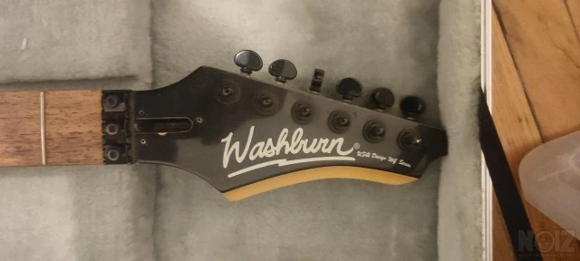 Washburn WG 580