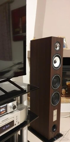 Ηχεία Triangle Gaia Esprit EZ