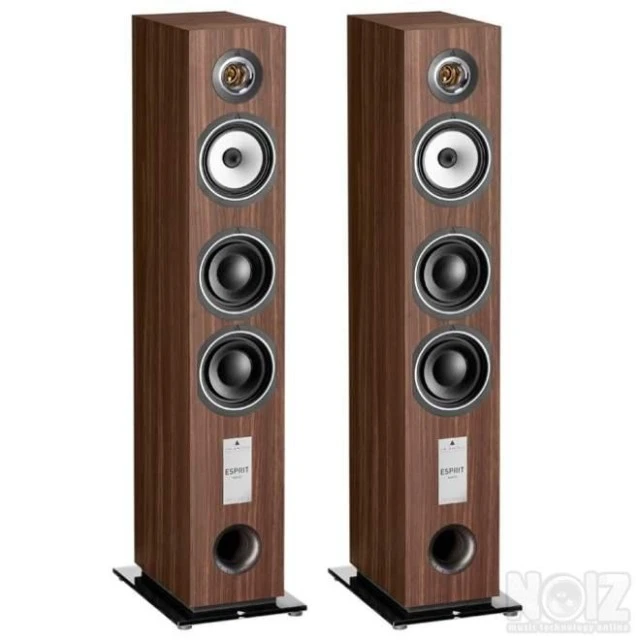 Ηχεία Triangle Gaia Esprit EZ