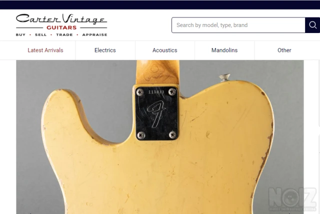 Fender Neck plate