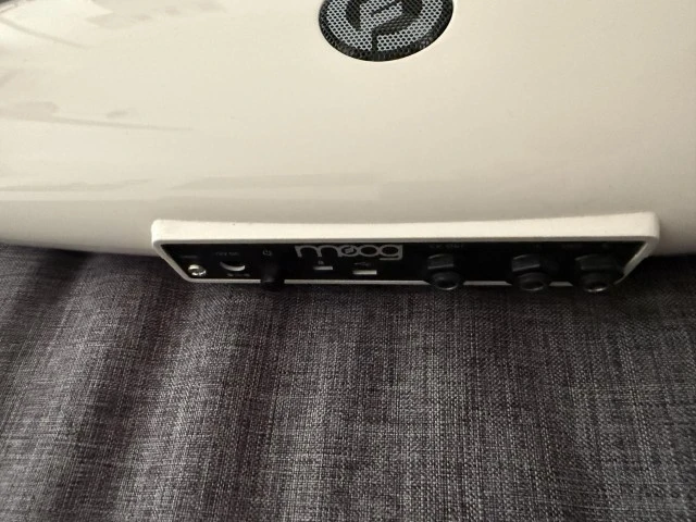 Moog Theremini