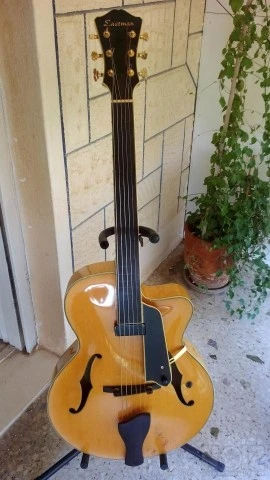 Eastman Guitar Fretless AR810CE