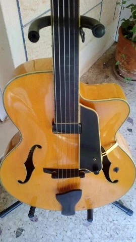 Eastman Guitar Fretless AR810CE