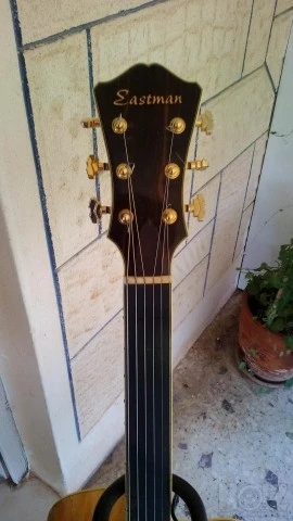 Eastman Guitar Fretless AR810CE