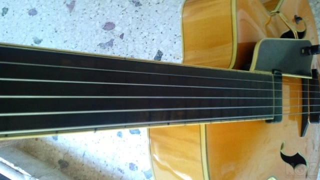 Eastman Guitar Fretless AR810CE