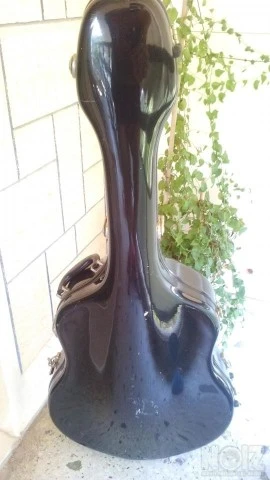 Eastman Guitar Fretless AR810CE