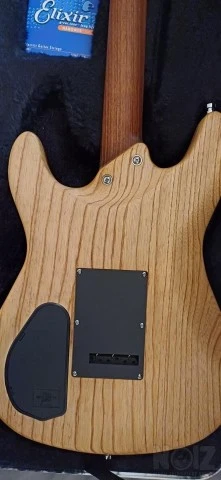 Framus Diablo Custom - Germany
