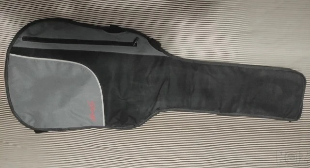 Stagg i300 strat style