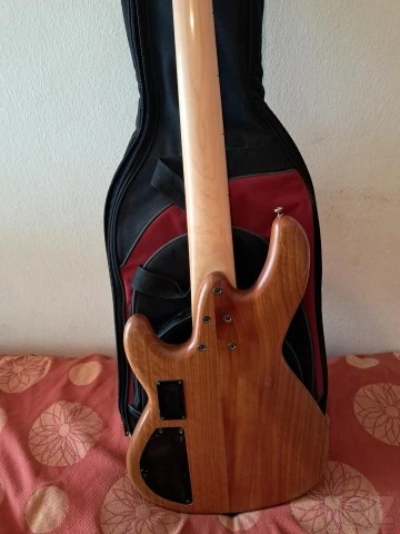 Sandberg Panther 5 fretless 35