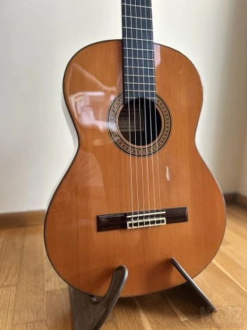 Alhambra 8c + Hardcase