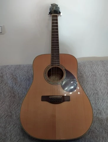 Samick D5 12 Greg Benn Acoustic guitar 2001 