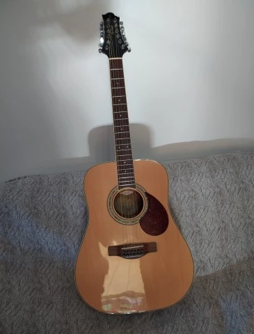 Samick D5 12 Greg Benn Acoustic guitar 2001 