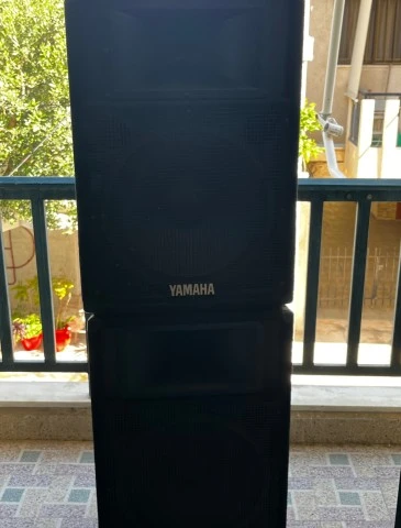 Yamaha EMX5000-12, 2x Yamaha 115IV, 2x Proel Stand