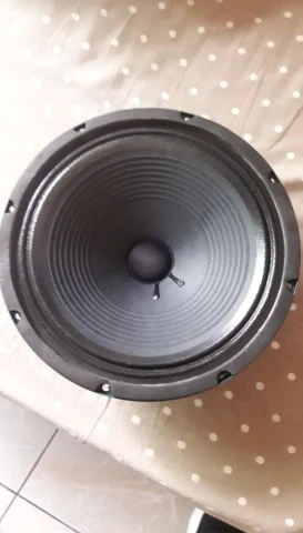 Ηχειο μεγαφωνο (Eminence) 12",16 ohm ,100W