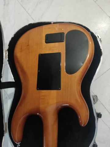 Carvin DC 400