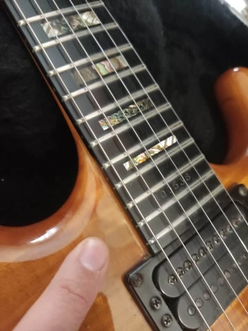 Carvin DC 400