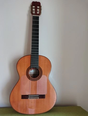 Flamenco guitar