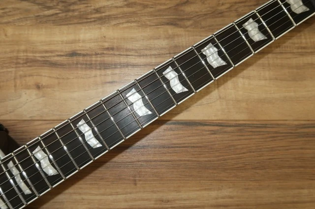 ESP LTD EC-1000 με Σκληρή Θήκη Βαλίτσα