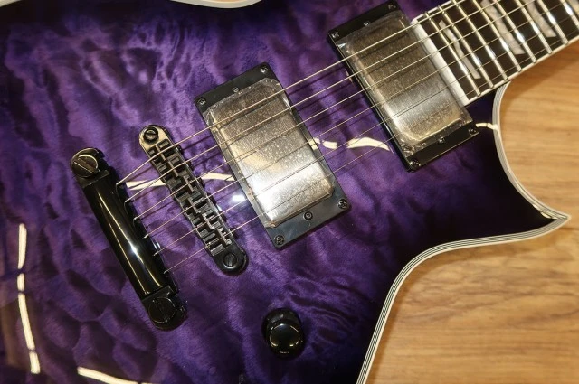 ESP LTD EC-1000 με Σκληρή Θήκη Βαλίτσα