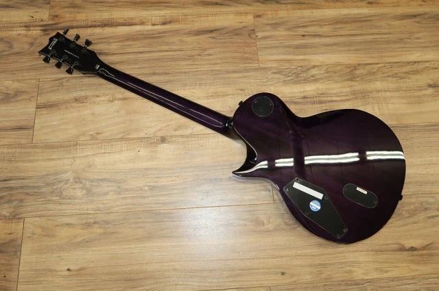 ESP LTD EC-1000 με Σκληρή Θήκη Βαλίτσα