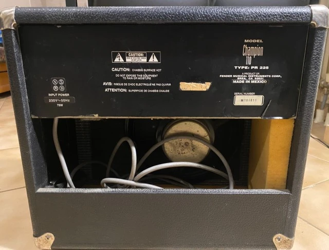 Fender Champion 110
