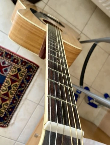 Yamaha FG-B1N (Bamboo) (2002)