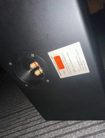 Dynaudio Acoustics M1