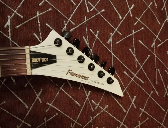 Fernandes STJ-80BT