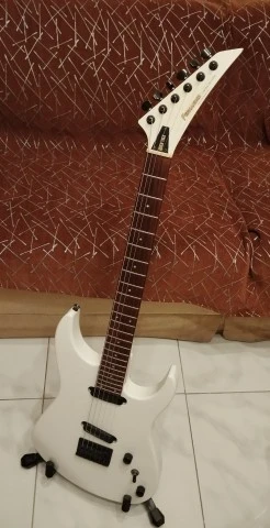 Fernandes stj-80bt  (ΔΙΑΒΑΣΤΕ ΠΕΡΙΓΡΑΦΗ)