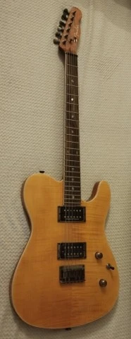Special Edition Custom Telecaster® FMT HH