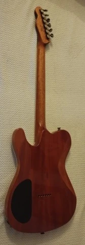 Special Edition Custom Telecaster® FMT HH