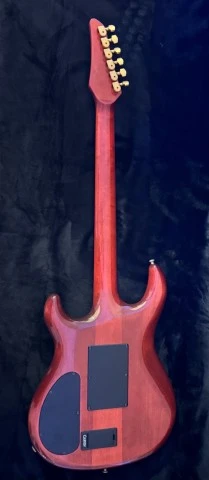Dc400 custom shop Floyd rose magnets