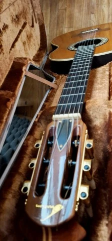 Λεπτομέρεια ταστιέρας και headstock, με ορατή την κατασκευή και το εσωτερικό της θήκης.